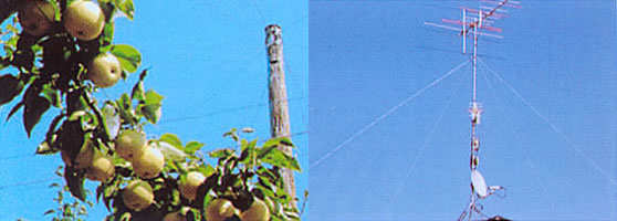 Stainless steel wires for orchard,/outdoor structure